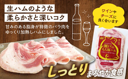 【全3回定期便】「瀬戸のもち豚」IFFA2022金賞受賞5点セット [BAER073]ソーセージ