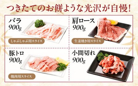 バラエティセット約3，600g (肩ロース・バラ・小間切れ・豚トロ 各900g)  [BAER077]豚肉