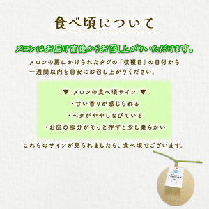 【2026年9月中旬発送開始】 マスクメロン 1玉 メロン フルーツ ギフト 果物 夏 季節限定 甘い おいしい 贈り物 お取り寄せ 産地直送 新鮮 熟成 国産 スイーツ デザート ジューシー 贈答用 プレゼント 人気 お中元 数量限定 先行予約 新発田ファーム 新潟県 新発田市 shibatafarm005