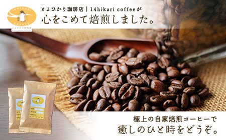 店主おすすめ 自家焙煎コーヒー「豆」100gx2種 とよひかり 珈琲店 こだわり エクアドル インドネシア 鹿児島県 奄美大島 宇検村 ギフト 送料無料