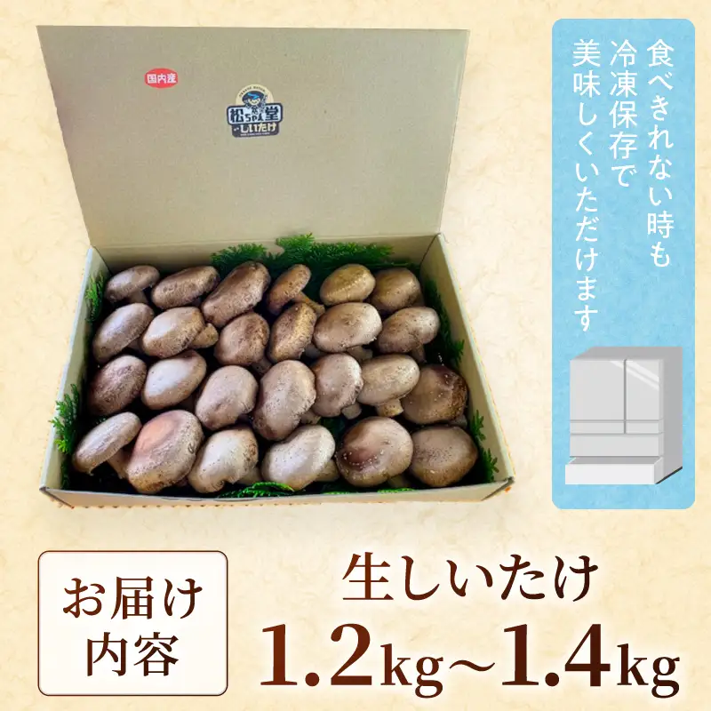 国内産菌床しいたけ [きのこ 菌床]