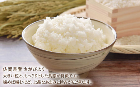 令和7年産 さがびより5kg 白米 / 佐賀県 / 有限会社中島商店 [41AGAC007]