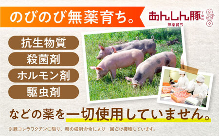 豚肉 ローススライス 1kg 国産豚肉 / 藤井ファーム[AWAF049]