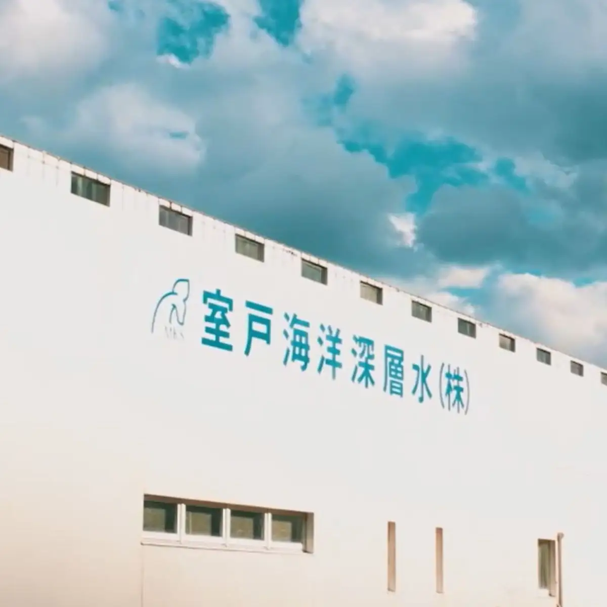 塩彩セット a  計400g  塩 塩分 熱中症対策  天日塩 国産塩 室戸海洋深層水使用の塩