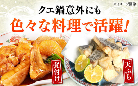 【全3回定期便】対馬産 クエ ぶつ切り 1.2kg 鍋用スープ付《対馬市》【島本水産】高級魚 新鮮 肉厚 本格的 海鮮 鍋セット フライ 煮付け アラ[WBI019]