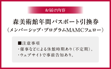 【六本木ヒルズ】森美術館年間パスポート　（森美術館メンバーシップ　フェロー入会） │ 東京 美術館 チケット