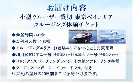 小型クルーザー貸切　東京ベイエリア クルージング体験（4名様　60分） │ 東京 体験 クルーズ