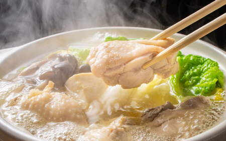 訳あり 博多水炊き 10人前セット [BGAB107] 水炊き 訳あり 人気