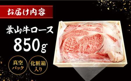 【化粧箱入り】葉山牛ロース すき焼きセット 約850g ／ すき焼き[ASAP003]