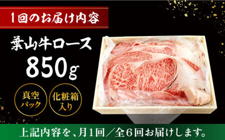【全6回定期便】【化粧箱入り】葉山牛ロース すき焼きセット(葉山牛ロース850g) ／ 牛肉 和牛 すき焼き 神奈川県[ASAP015]