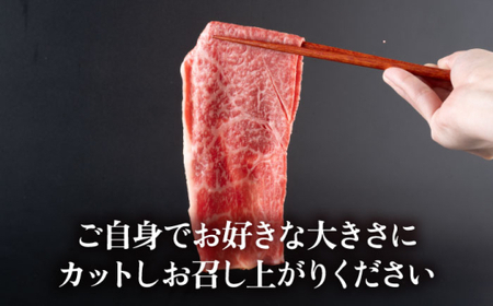 【全6回定期便】 葉山牛 カルビ500g／ カルビ[ASAP039]