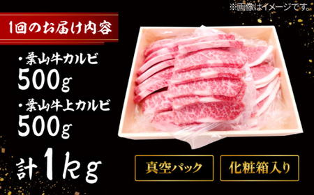 【全3回定期便】 葉山牛 上カルビ500gカルビ500g／ カルビ 上カルビ[ASAP053]
