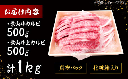 【全6回定期便】 葉山牛 上カルビ500gカルビ500g／ カルビ 上カルビ[ASAP054]