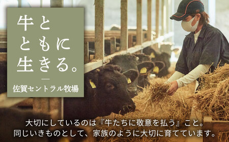 ビーフジャーキー 計450g（50g×9袋） / ビーフジャーキー [IAH270]