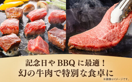 葉山牛 750g　サーロインステーキ ／ サーロイン [ASBD017]