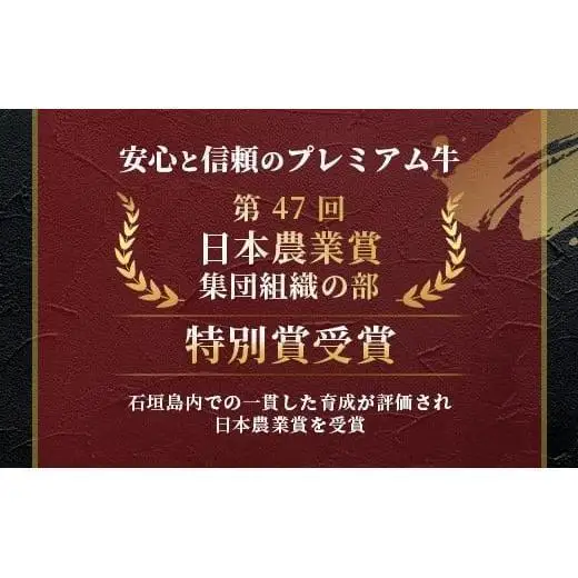 石垣牛 ハンバーグ セット (100g×10個)＜2026年5月発送＞ | 国産 石垣牛100% 沖縄 石垣島産 高級 黒毛和牛 ビーフ ハンバーグセット