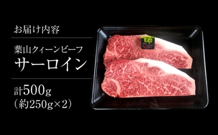 葉山クィーンビーフ サーロイン 250gx2 ／ サーロイン [ASCD009]
