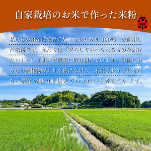 米粉 2kg（ 500g × 4袋 ） 自家製 米粉