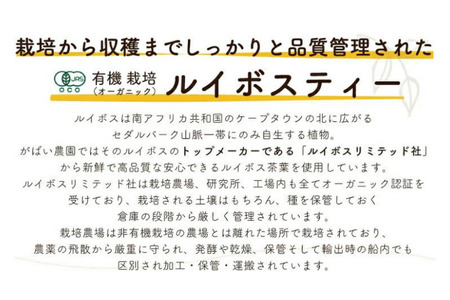 オーガニックルイボスティー（2個セット）：B110-009