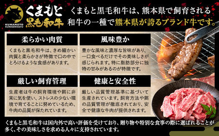 黒毛和牛 切り落とし 上 カルビ 焼肉 300g 牛肉