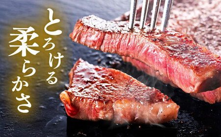 くまもと 黒毛和牛 和王 サーロイン ステーキ 約800g（約200g×4枚）サーロインステーキ[AYBR017]
