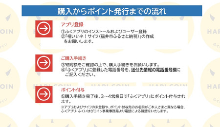 「ふくいはぴコイン」福井市ふるさと納税ポイント【90,000円分】 [P-198007] / 選べる金額 デジタル地域通貨 ホテル 観光 レジャー PAY アプリ オンライン キャッシュレス スマホ ポイント スマホ 便利 簡単 デジタル 支払い 地域通貨 送料無料
