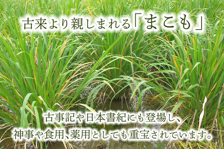まこも茶 ティーバッグ 8パック×15袋セット (合計120パック) [0457]