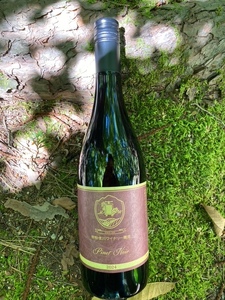 明野のワイン いろいろ 4本セット 受賞作品込 ワイン セット 白ワイン ロゼ 赤ワイン 4種類 シャンクレール モンデ酒造 御勅使川ワイナリー 720ml 750ml お酒 アルコール 母の日 父の日 明野 ブドウ [h062]