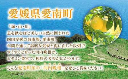 山口農園 河内晩柑 7kg 愛南ゴールド 河内晩柑