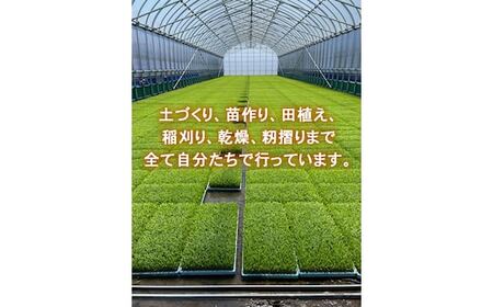 【射水市】【ライスファーマー山上】【農家直送】【射水の美味しいお米】R7年産コシヒカリ30kg【玄米】 ※離島への配送不可