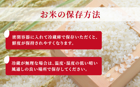 【新潟県上越市産】特別栽培米 コシヒカリ 令和7年産 10kg（5kg×2袋）ご飯 おにぎり