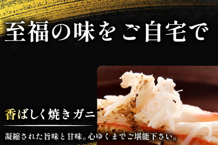 【蒸し】訳あり足折れ松葉ガニ 1.5kg前後 【訳あり 松葉ガニ 松葉がに 松葉蟹 まつばがに かに カニ 冷蔵 チルド ブランド ズワイガニ 蒸し ボイル 足折れ 自宅用 国産 季節限定 お取り寄せ 鳥取県 日吉津村 日本海】