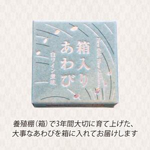 箱入りあわび 白ワイン煮風 2個セット ＼ 鮑 ／