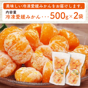 冷凍 みかん 500g×2袋 みかん 武田屋