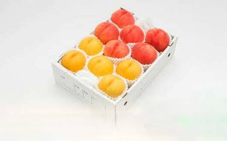 《2026年産 先行受付》山形県産 白桃・黄桃ミックス 秀品 約3kg 柔らかくなる桃 品種・玉数 おまかせ F4A-0974