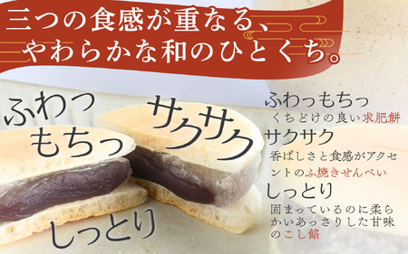 匠かすてら3個　天狗力餅5個セット / 銘菓 カステラ 和菓子 こしあん 詰め合せ 詰合せ 由良町 お取り寄せ お土産 ギフト 和歌山県【knkd007】