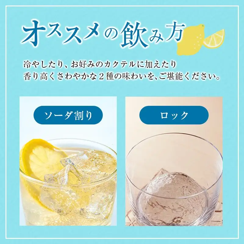宮崎産「れもん」でつくった リキュール 2種 飲み比べ 500ml×2本 セット マイヤーレモンリキュール＆さわやかレモンリキュール