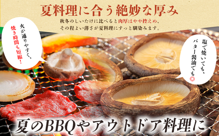 ＜夏季限定 原木生しいたけ（優品） 100g×5パック＞『2026年5月～10月に順次出荷予定』 合計500g 数量限定 期間限定 夏採れ 原木生椎茸 しいたけ シイタケ きのこ 優品 バーベキュー BBQ 料理 国産 愛媛県産 横林自治振興協議会 愛媛県 西予市【冷蔵】 NYJ0007