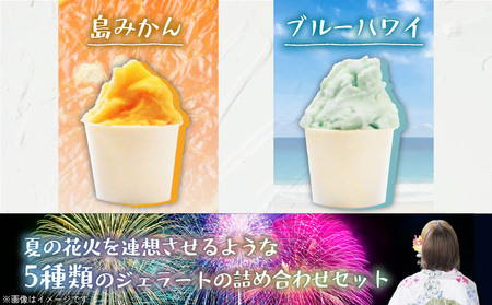 【 全2回 定期便 】 花火大会 応援 ！島の人気店、島の 特産品 とパワーをジェラートに！島の特産品を活かした フレーバー！ ジェラート 5個 セット C073-T01 菓子 お菓子 スイーツ 花火