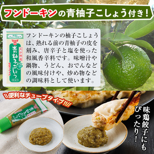 鶏の本場の老舗鶏屋が作る味鶏の餃子セット (計120個・1Pあたり12個入・柚子胡椒30g付き！) 鶏餃子 餃子 鶏肉 ぎょうざ おかず お惣菜 おつまみ 冷凍【V-72】【味鶏フーズ】