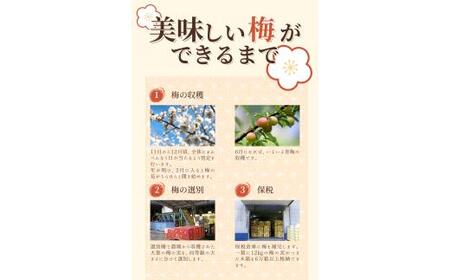 梅干し 新登場！200g しそ梅干し【khs124】