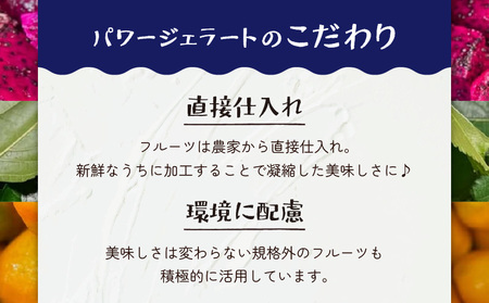 POWER gELATO 沖永良部島産（ 塩ちんすこうバニラ ）90ml × 5個入り W066-004-01 冷凍 スイーツ