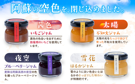 阿蘇果蜜ジャム4種セット 35g×4本 木之内農園 ジャム《30日以内に出荷予定(土日祝を除く)》 熊本県南阿蘇村 ジャム いちご ブルーベリー はるか 不知火 苺 大粒 乗せるジャム