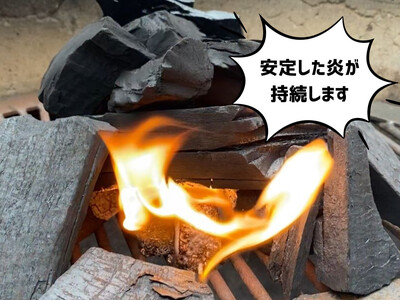 みんなでつくる着火剤（３本入り）４０袋