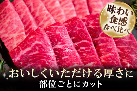 佐賀牛 希少部位焼肉用450g サイコロステーキ450g(H122119)