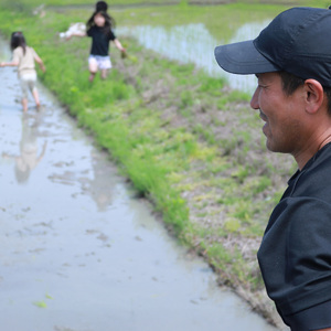 令和7年産 ヒノヒカリ 5kg 白米 宇治 ごはん 白米 お米 米 コメ こめ はくまい 宇治 ごはん ひのひかり 一等品 京都府産 京都 京都府 ふるさと納税米 数量限定