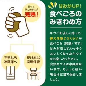 【先行予約】2026年度発送 三重県玉城町産 ゼスプリ サンゴールドキウイ 約1kg(贈答用)