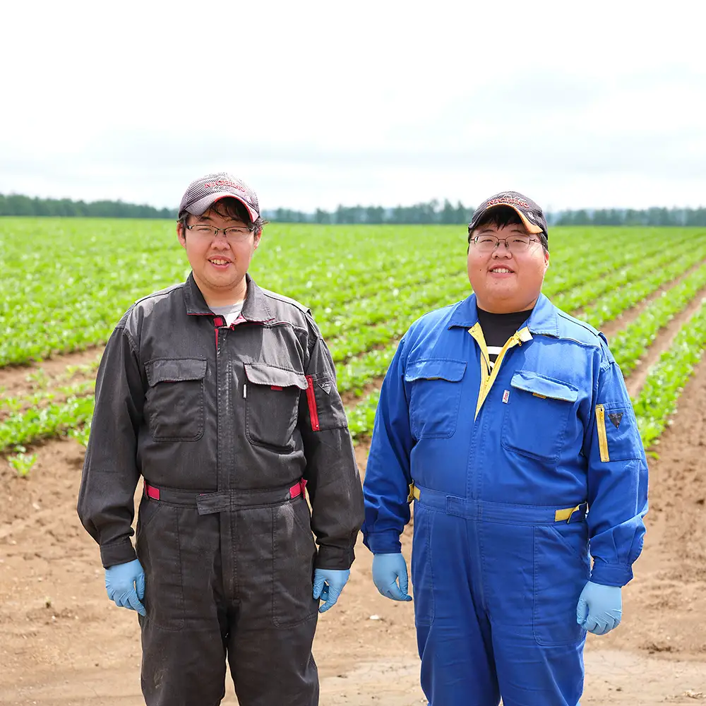 2026年産 先行予約 北海道産 新じゃが 3種セット 男爵 きたひめ ホッカイコガネ 計4.5kg 北海道 上士幌町 須田農場 野菜 じゃがいも ジャガイモ 馬鈴薯 北海こがね 産地直送 ◆2026年9月下旬発送開始予定