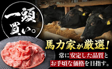 【3回定期便】飛騨牛肩ロース 800ｇ(400ｇ×2パック) すき焼きしゃぶしゃぶ用肉 [AVBO033]