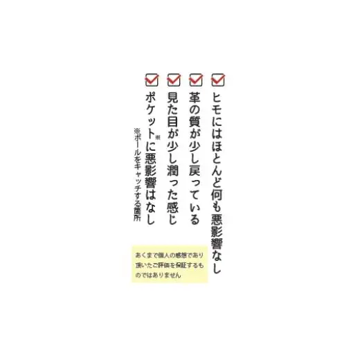 野球グローブクリーニング（汚れとことん落としプラン）